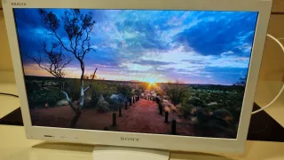 Televisor Sony BRAVIA EX31 Blanco TDT HD