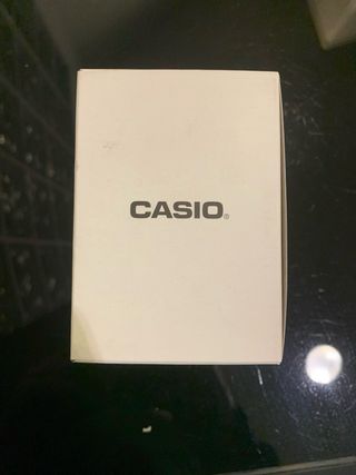 Reloj Casio MW-240-1E2V Negro/Dorado