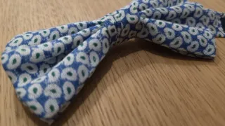 Pajarita Zara Azul y Blanca