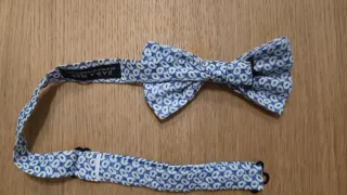 Pajarita Zara Azul y Blanca