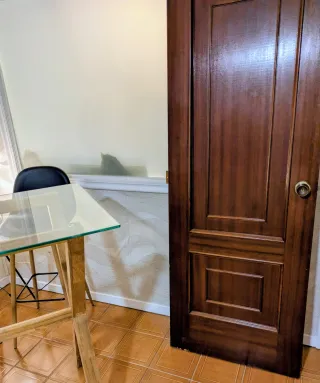 Seis puertas de madera