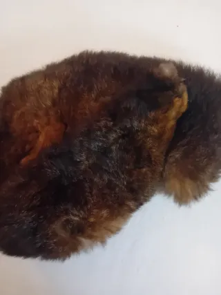 Collo di opossum  marrone