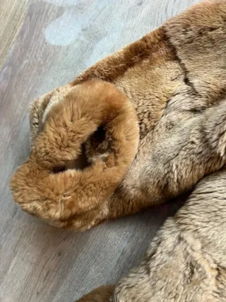 Abrigo de piel de conejo rojo