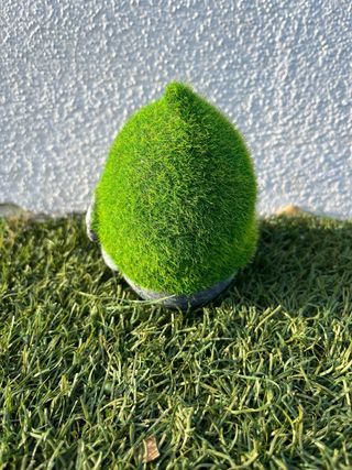Gnomo de jardín pequeño con gorro de césped.
