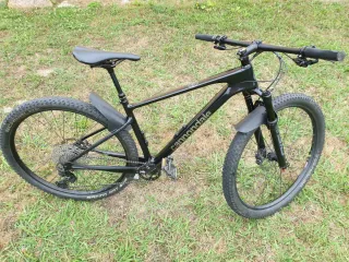 Bicicleta Montaña 29 Carbono