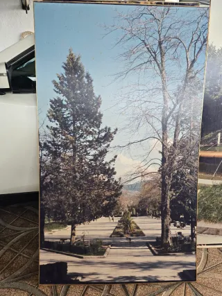 Collezione di quadri antichi di Jaén Capital