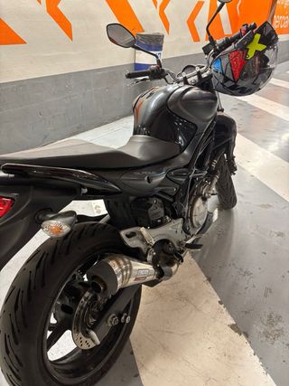 SUZUKI GLADIUS 650 (2015)