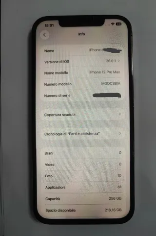 iPhone 12 Pro Max 256GB Grigio Argento