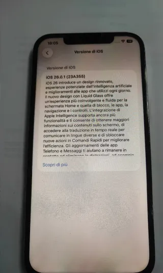 iPhone 12 Pro Max 256GB Grigio Argento