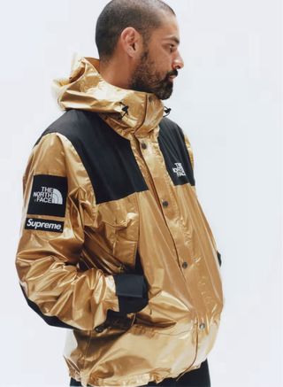 Parka Supreme X The North Face Metallic
