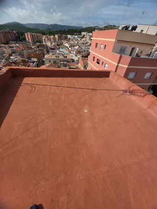 Paleta  Autonomo en Reforma Integral en General