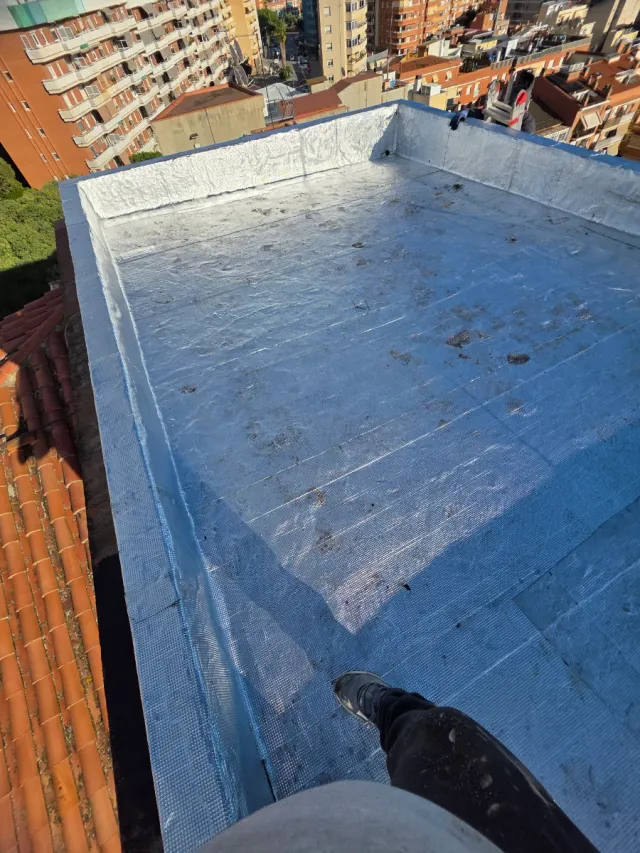 Paleta  Autonomo en Reforma Integral en General