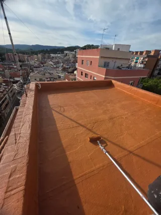 Paleta  Autonomo en Reforma Integral en General