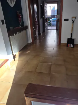 Paleta  Autonomo en Reforma Integral en General