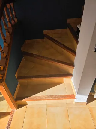 Paleta  Autonomo en Reforma Integral en General