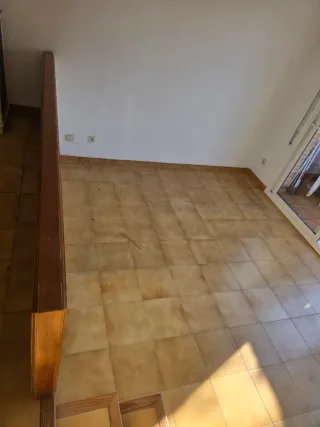 Paleta  Autonomo en Reforma Integral en General