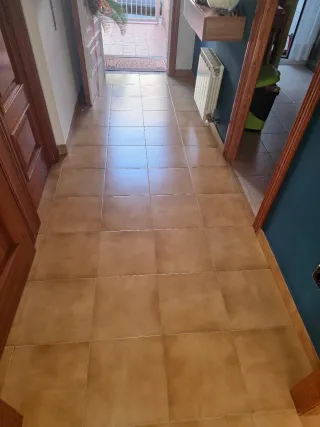 Paleta  Autonomo en Reforma Integral en General