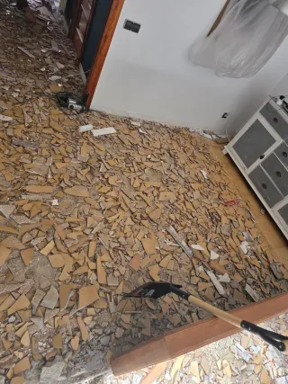 Paleta  Autonomo en Reforma Integral en General