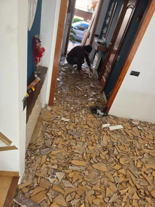 Paleta  Autonomo en Reforma Integral en General