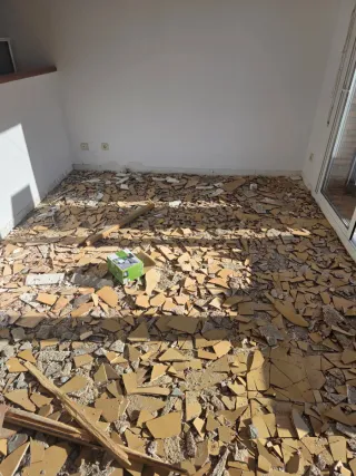 Paleta  Autonomo en Reforma Integral en General