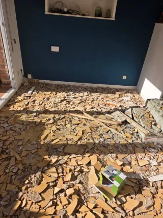 Paleta  Autonomo en Reforma Integral en General