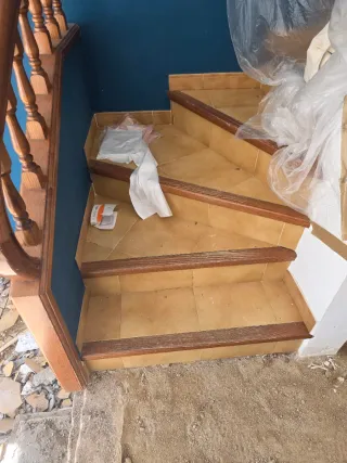 Paleta  Autonomo en Reforma Integral en General