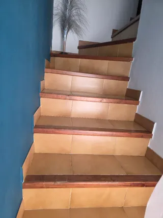 Paleta  Autonomo en Reforma Integral en General