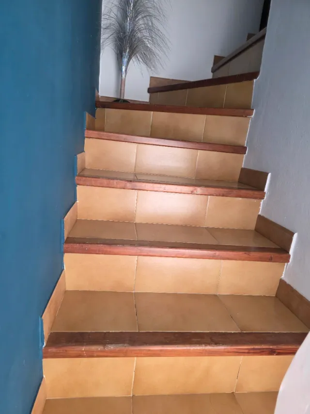 Paleta  Autonomo en Reforma Integral en General