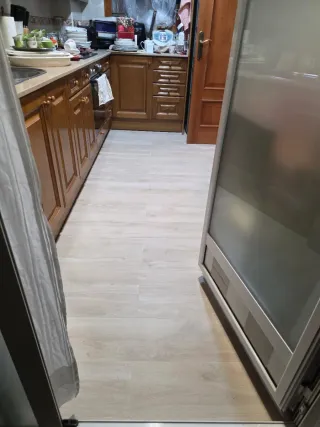 Paleta  Autonomo en Reforma Integral en General