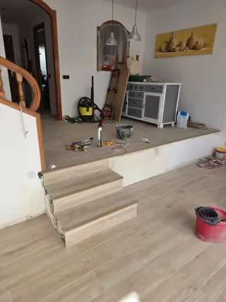 Paleta  Autonomo en Reforma Integral en General