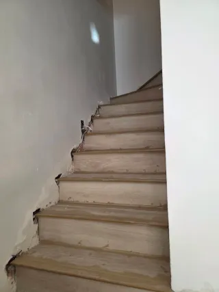 Paleta  Autonomo en Reforma Integral en General