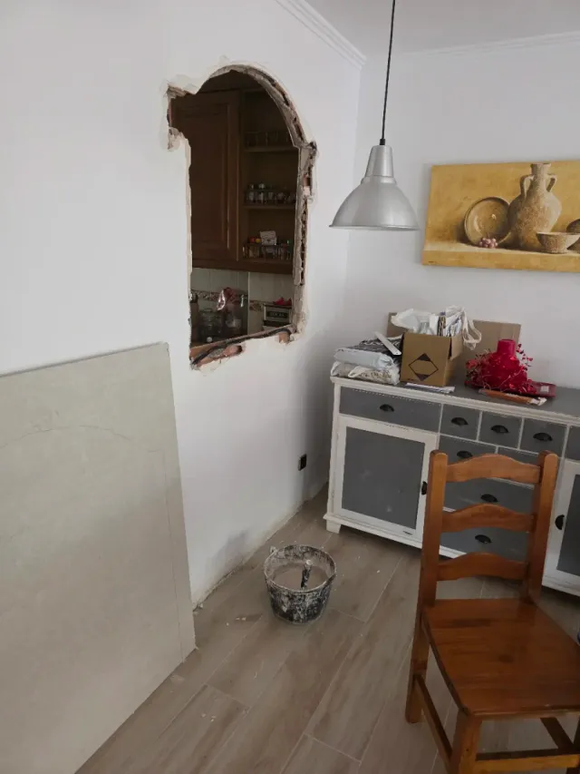 Paleta  Autonomo en Reforma Integral en General