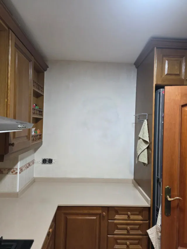 Paleta  Autonomo en Reforma Integral en General