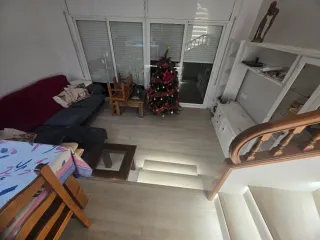 Paleta  Autonomo en Reforma Integral en General