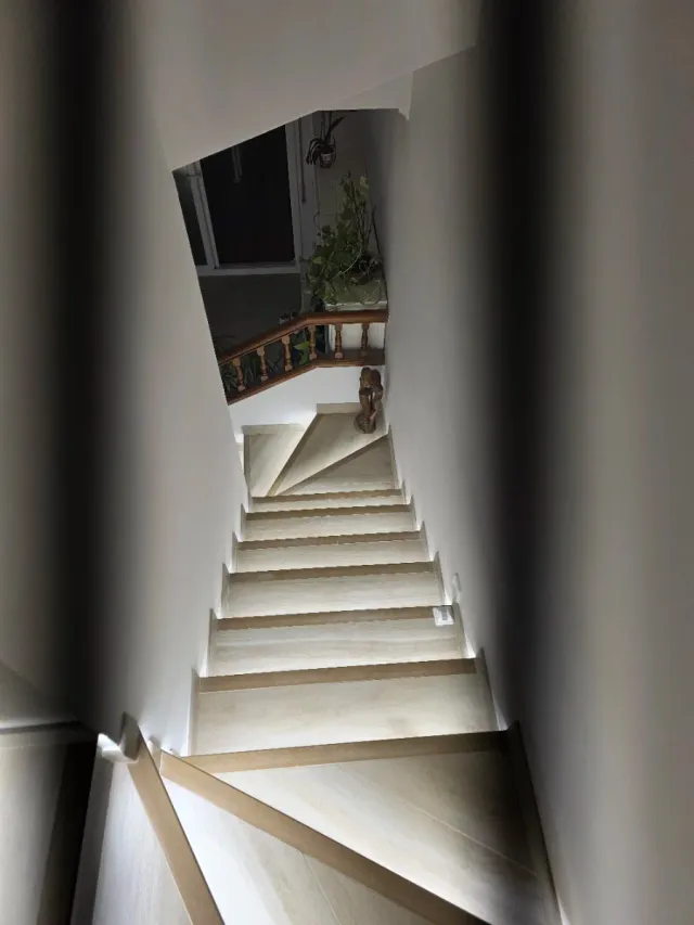 Paleta  Autonomo en Reforma Integral en General