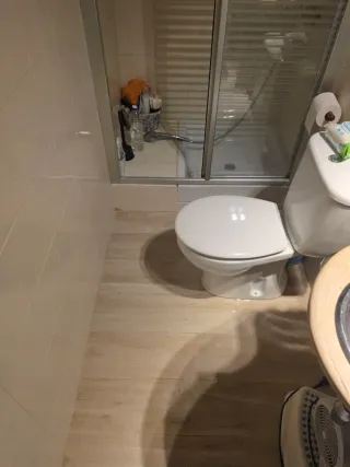 Paleta  Autonomo en Reforma Integral en General