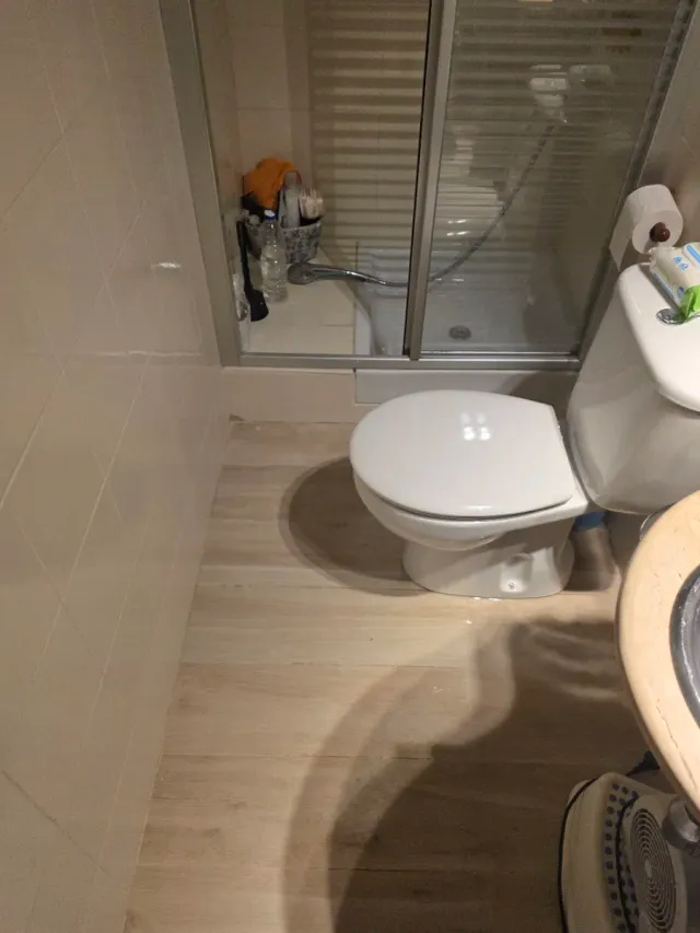 Paleta  Autonomo en Reforma Integral en General