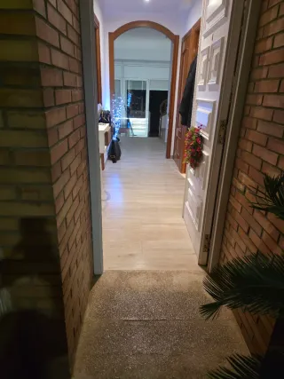 Paleta  Autonomo en Reforma Integral en General