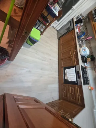 Paleta  Autonomo en Reforma Integral en General