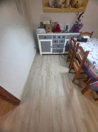 Paleta  Autonomo en Reforma Integral en General