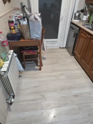 Paleta  Autonomo en Reforma Integral en General