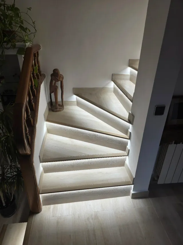 Paleta  Autonomo en Reforma Integral en General