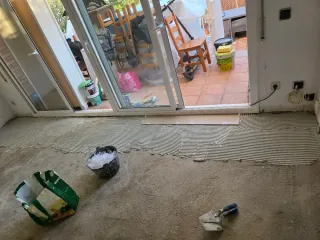 Paleta  Autonomo en Reforma Integral en General