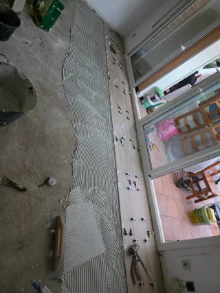 Paleta  Autonomo en Reforma Integral en General