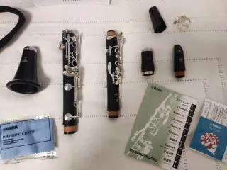 Clarinete Yamaha YCL 255 S