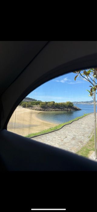 Volkswagen California ocean 2019