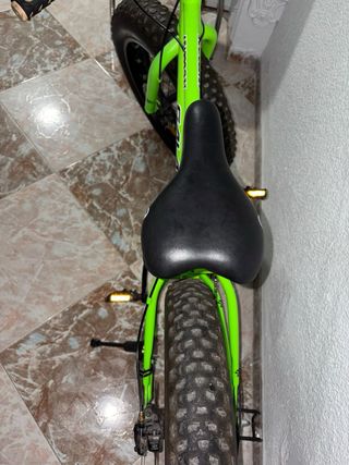Bicicleta Fat Bike Montaña y Nieve