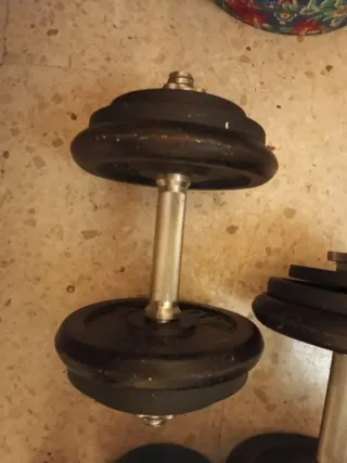 Manubri da 22 kg per palestra