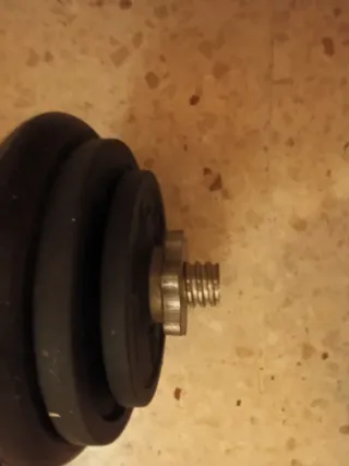 Manubri da 22 kg per palestra