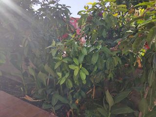 Casa adosada en alquiler en San Agustín - Bahía Feliz - Playa del Águila en San Bartolomé de Tirajana
